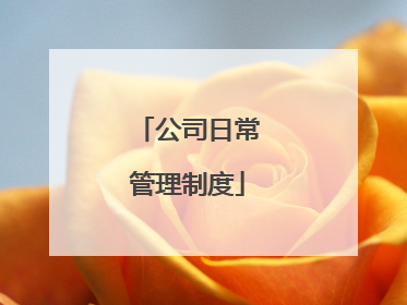 公司日常管理制度