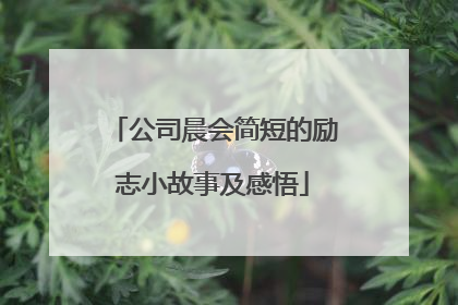 公司晨会简短的励志小故事及感悟