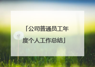 公司普通员工年度个人工作总结