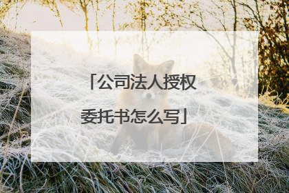 公司法人授权委托书怎么写