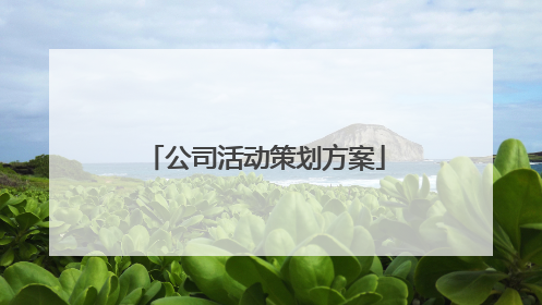 公司活动策划方案
