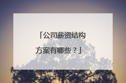 公司薪资结构方案有哪些？