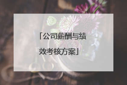 公司薪酬与绩效考核方案