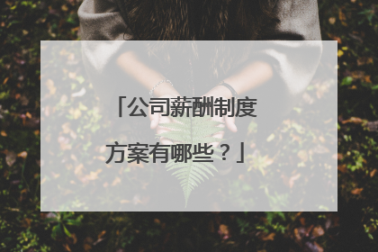 公司薪酬制度方案有哪些？