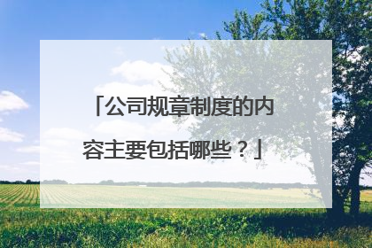 公司规章制度的内容主要包括哪些？