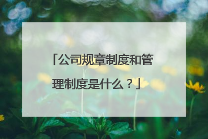 公司规章制度和管理制度是什么?