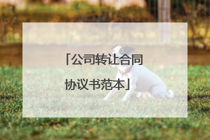 公司转让合同协议书范本
