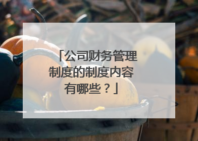 公司财务管理制度的制度内容有哪些?