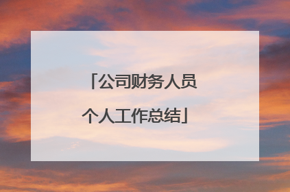 公司财务人员个人工作总结