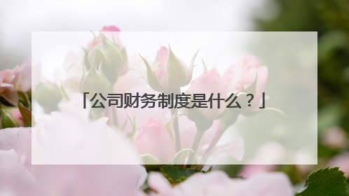 公司财务制度是什么?