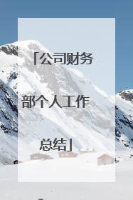 公司财务部个人工作总结