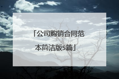 公司购销合同范本简洁版5篇