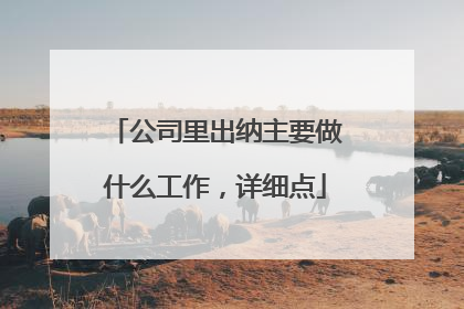 公司里出纳主要做什么工作,详细点