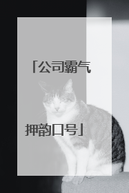 公司霸气押韵口号