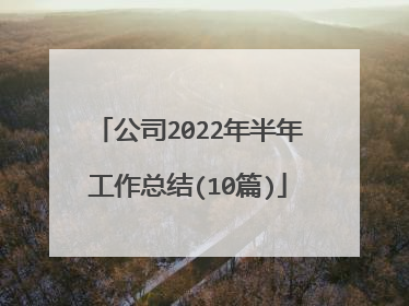 公司2022年半年工作总结(10篇)