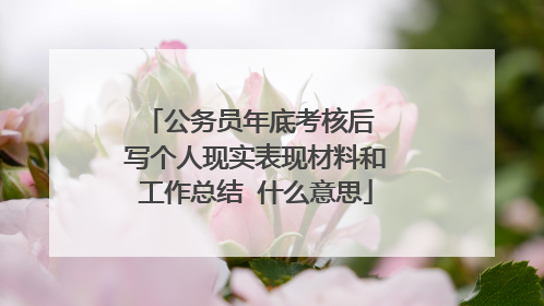 公务员年底考核后 写个人现实表现材料和工作总结 什么意思