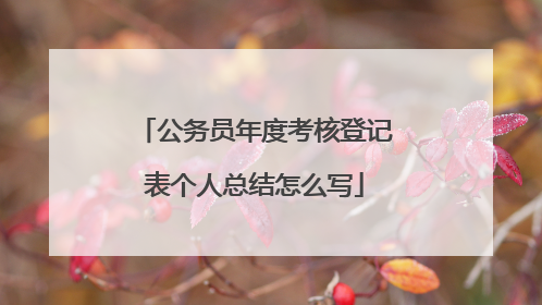 公务员年度考核登记表个人总结怎么写