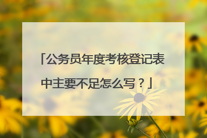 公务员年度考核登记表中主要不足怎么写？