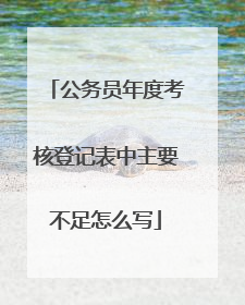 公务员年度考核登记表中主要不足怎么写