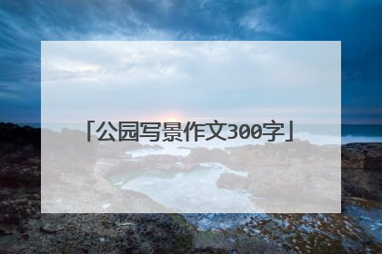 公园写景作文300字