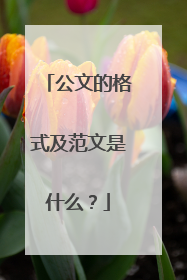 公文的格式及范文是什么?