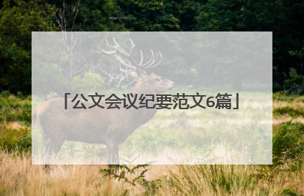 公文会议纪要范文6篇