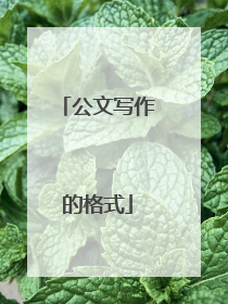 公文写作的格式