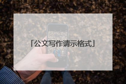 公文写作请示格式