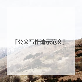 公文写作请示范文