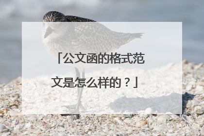 公文函的格式范文是怎么样的?