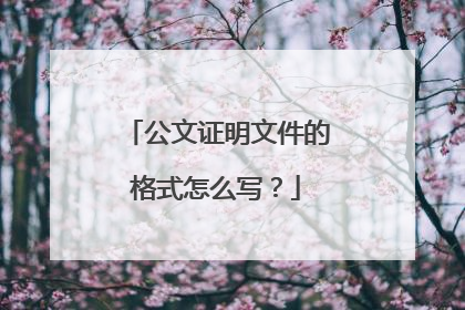 公文证明文件的格式怎么写?