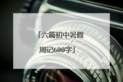 六篇初中暑假周记600字