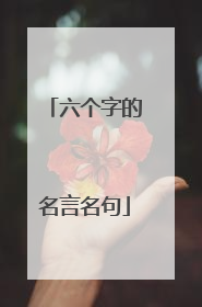 六个字的名言名句