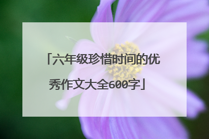 六年级珍惜时间的优秀作文大全600字