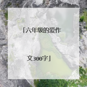 六年级的爱作文300字