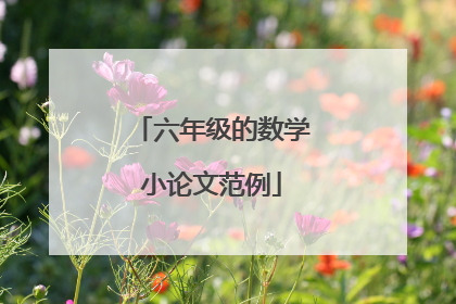 六年级的数学小论文范例