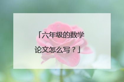 六年级的数学论文怎么写？
