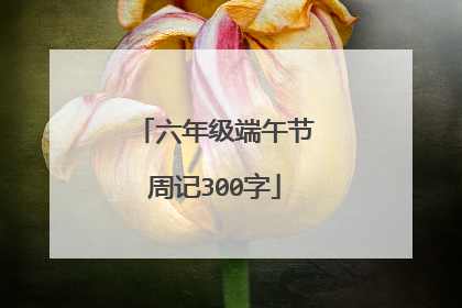 六年级端午节周记300字