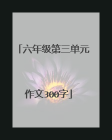 六年级第三单元作文300字
