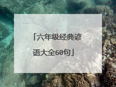 六年级经典谚语大全60句
