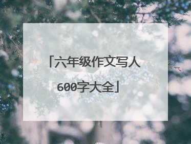 六年级作文写人600字大全