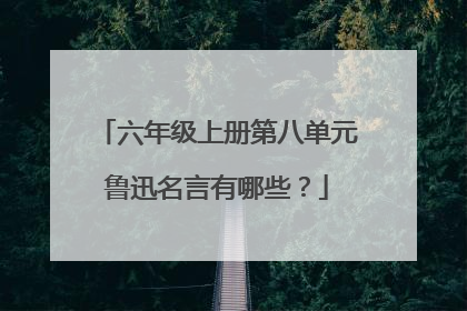 六年级上册第八单元鲁迅名言有哪些？