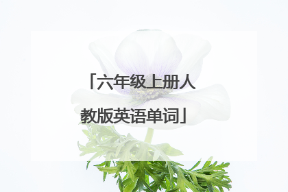 六年级上册人教版英语单词