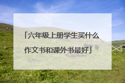 六年级上册学生买什么作文书和课外书最好