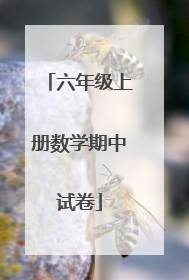 六年级上册数学期中试卷