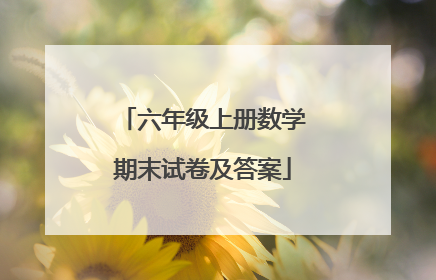 六年级上册数学期末试卷及答案