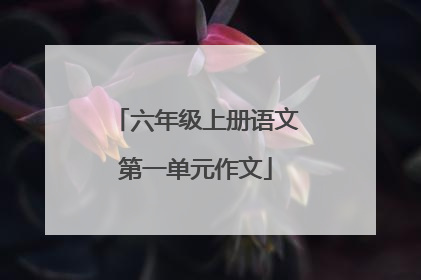 六年级上册语文第一单元作文
