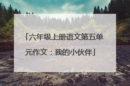 六年级上册语文第五单元作文:我的小伙伴
