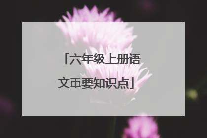 六年级上册语文重要知识点