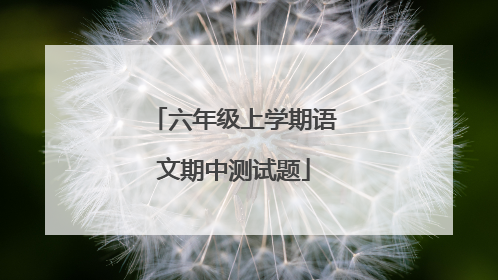 六年级上学期语文期中测试题
